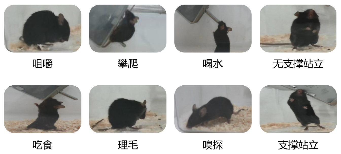 苏州拉夫海思科技有限公司.png