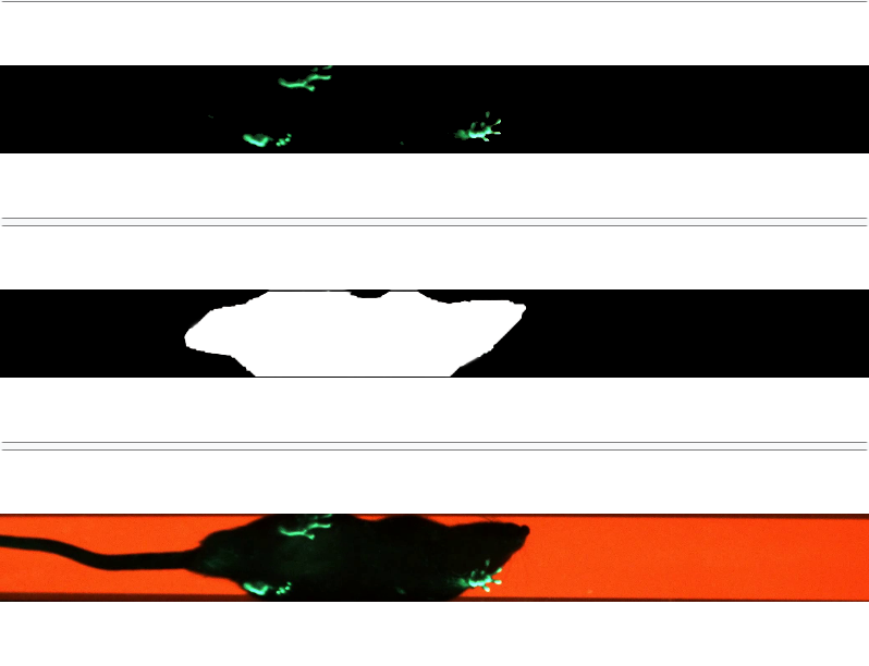 爪印采集 爪印采集