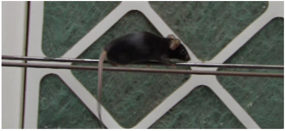 屏幕截图 2025-11-20 153932.png