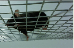 屏幕截图 2025-12-08 141024.png